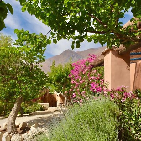 Bed and Breakfast Refugio Misterios Del Elqui à Pisco Elqui Extérieur photo