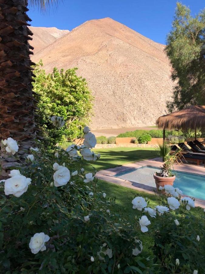 Bed and Breakfast Refugio Misterios Del Elqui à Pisco Elqui Extérieur photo