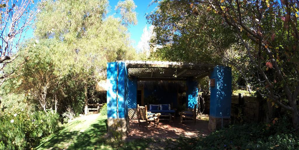 Bed and Breakfast Refugio Misterios Del Elqui à Pisco Elqui Extérieur photo