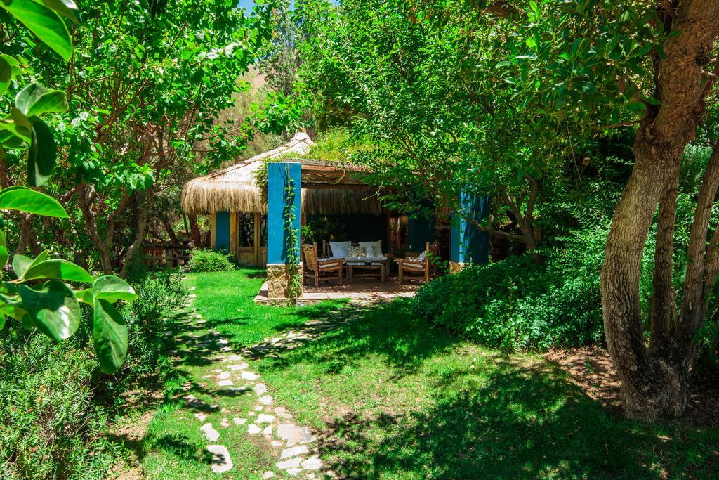 Bed and Breakfast Refugio Misterios Del Elqui à Pisco Elqui Extérieur photo