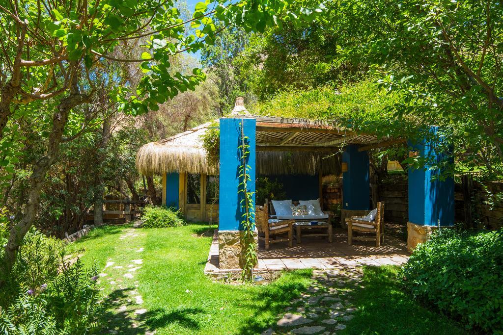 Bed and Breakfast Refugio Misterios Del Elqui à Pisco Elqui Extérieur photo